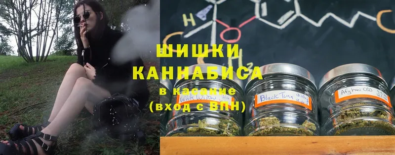 где купить наркоту  Кодинск  Шишки марихуана SATIVA & INDICA 